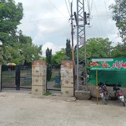 Local Cultural Festivals - Talagang