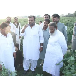 Vehari Agricultural Farms - Vehari