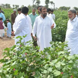 Vehari Agricultural Farms - Vehari