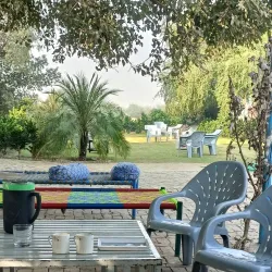 Vehari Agricultural Farms - Vehari