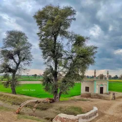 Vehari Clock Tower - Vehari