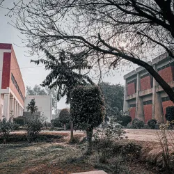 Vehari Government College - Vehari