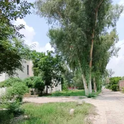 Vehari Government College - Vehari