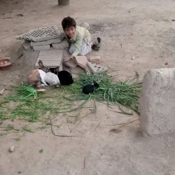 Vehari Public Park - Vehari