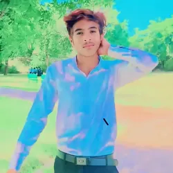 Vehari Public Park - Vehari