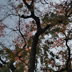 Heavy Industries Taxila (HIT) - Wah