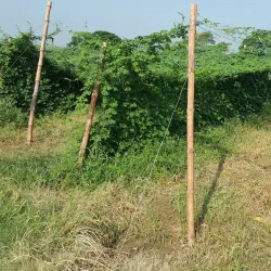 Wah Cantonment - Wah