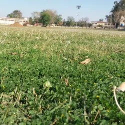 Wah Cricket Ground - Wah