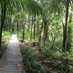 Ngardmau Waterfall - Meyuns (Meyungs)