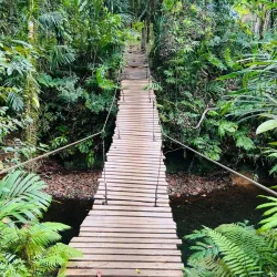 Ngardmau Waterfall - Meyuns (Meyungs)