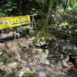 Ngardmau Waterfall - Meyuns (Meyungs)