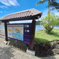 Palau Coral Reef Conservation - Meyuns (Meyungs)