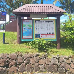 Palau Coral Reef Conservation - Meyuns (Meyungs)