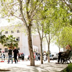 Birzeit University (nearby) - Al-birah