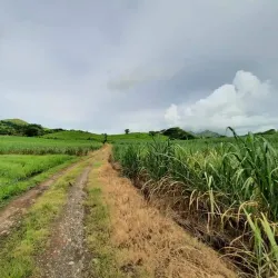 Balata Refugee Camp - Balatah