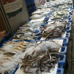 Nablus Old City - Balatah