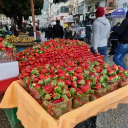 Nablus Old City - Balatah