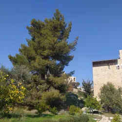 Bethlehem Museum - Bethlehem