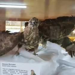 Bethlehem Museum - Bethlehem