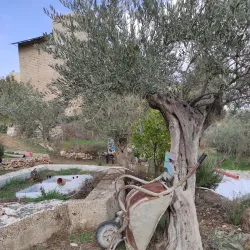 Bethlehem Museum - Bethlehem