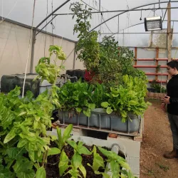 Bethlehem Museum - Bethlehem