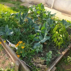 Bethlehem Museum - Bethlehem