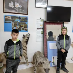 Bethlehem Museum - Bethlehem