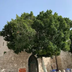 Bethlehem Peace Center - Bethlehem