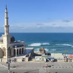 Al-Mathaf Archaeological Museum - Gaza