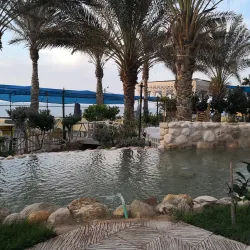 Al-Mathaf Archaeological Museum - Gaza