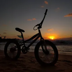 Al-Shati Refugee Camp - Gaza