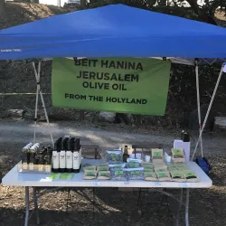 Local Olive Groves and Agricultural Areas - Halhul