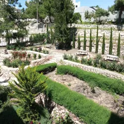 Hebron University - Hebron