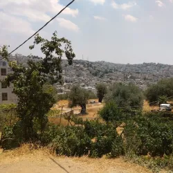 Tel Rumeida - Hebron