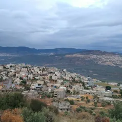 Ancient Olive Groves - Idna