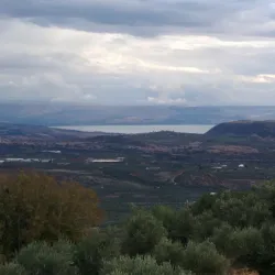 Ancient Olive Groves - Idna