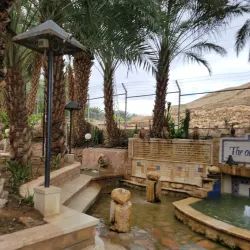 Ein es-Sultan Spring - Jericho