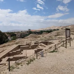Ein es-Sultan Spring - Jericho