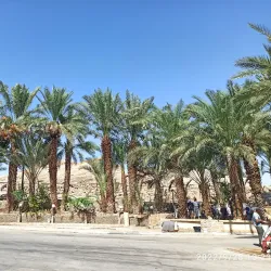 Jericho Old City - Jericho