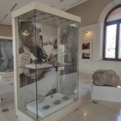 Jericho Sycamore Tree - Jericho