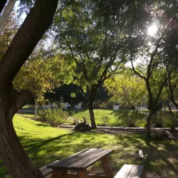 Nablus Cultural Center - Nablus