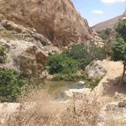 Ancient Ruins Near Qabatiyah - Qabatiyah