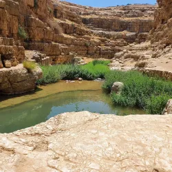 Nearby Hiking Trails - Qabatiyah