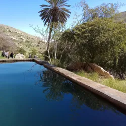 Nearby Natural Springs - Qabatiyah