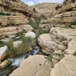 Nearby Natural Springs - Qabatiyah