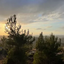 Traditional Palestinian Cuisine Restaurants - Qabatiyah