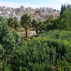 Ramallah Cultural Palace - Ramallah