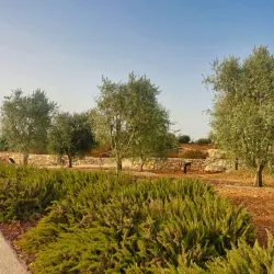 Ramallah Museum - Ramallah