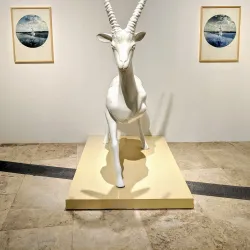 The Palestinian Museum - Ramallah