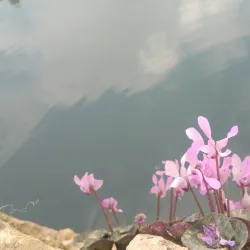 Nearby Natural Springs - Tulkarm
